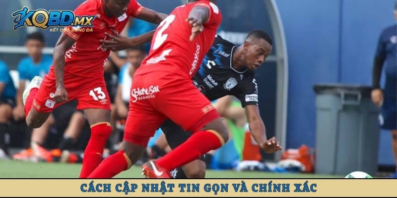 Cách cập nhật tin gọn và chính xác