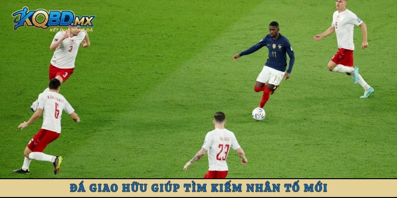 Đá giao hữu giúp tìm kiếm nhân tố mới
