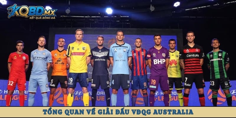 Tổng quan về giải đấu VĐQG Australia
