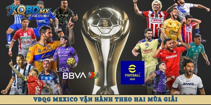 VĐQG Mexico vận hành theo hai mùa giải